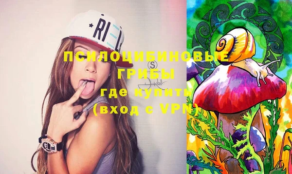 бошки Иннополис
