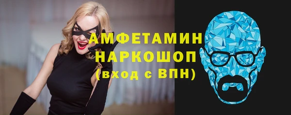 трава Инта