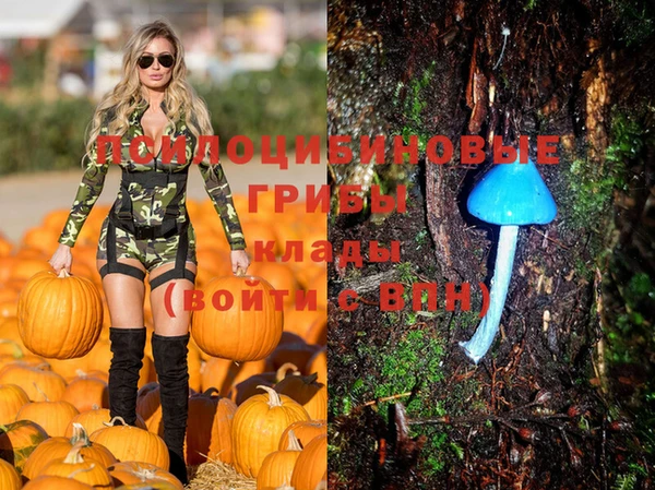 бошки Иннополис