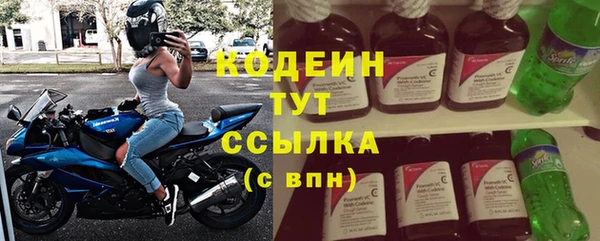 трава Инта