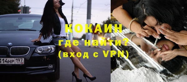 трава Инта