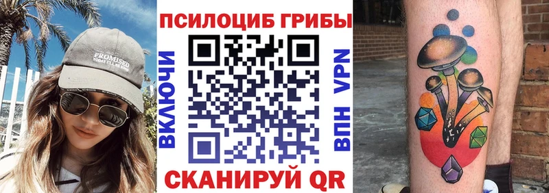 Галлюциногенные грибы Psilocybe  Благовещенск 