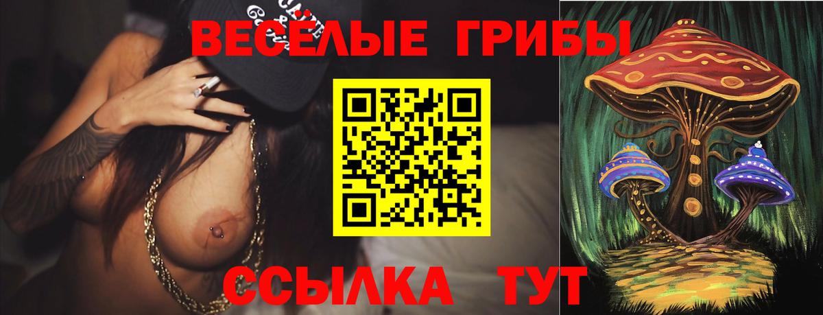 Псилоцибиновые грибы GOLDEN TEACHER Благовещенск